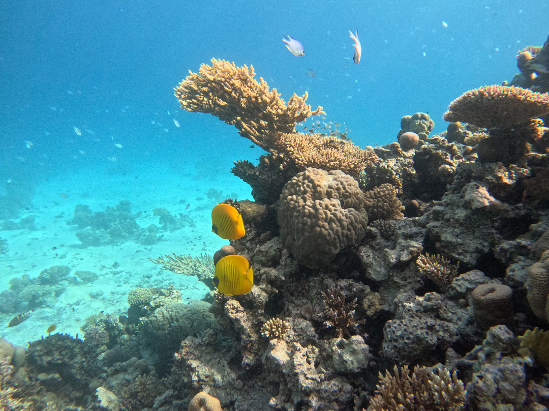 Erlebnis Ägypten-Safaga必去景点