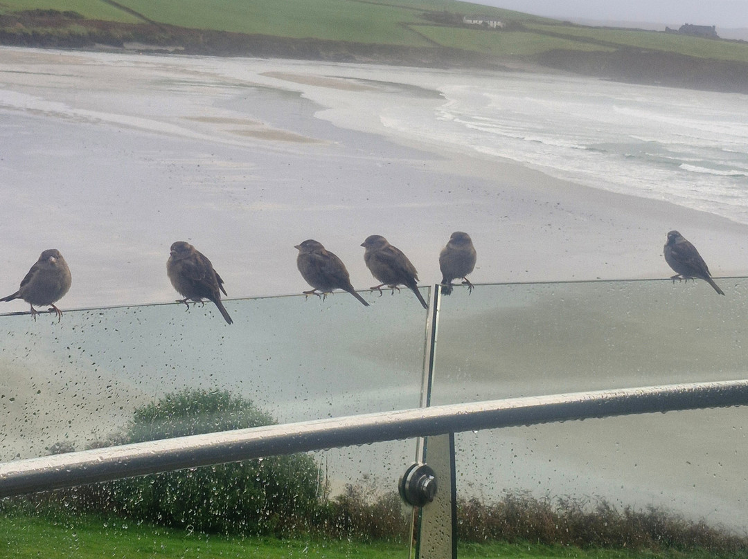 Inchydoney Island Lodge & Spa主图