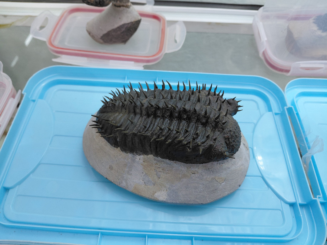 Atlas Geo Tours-Erfoud必去景点