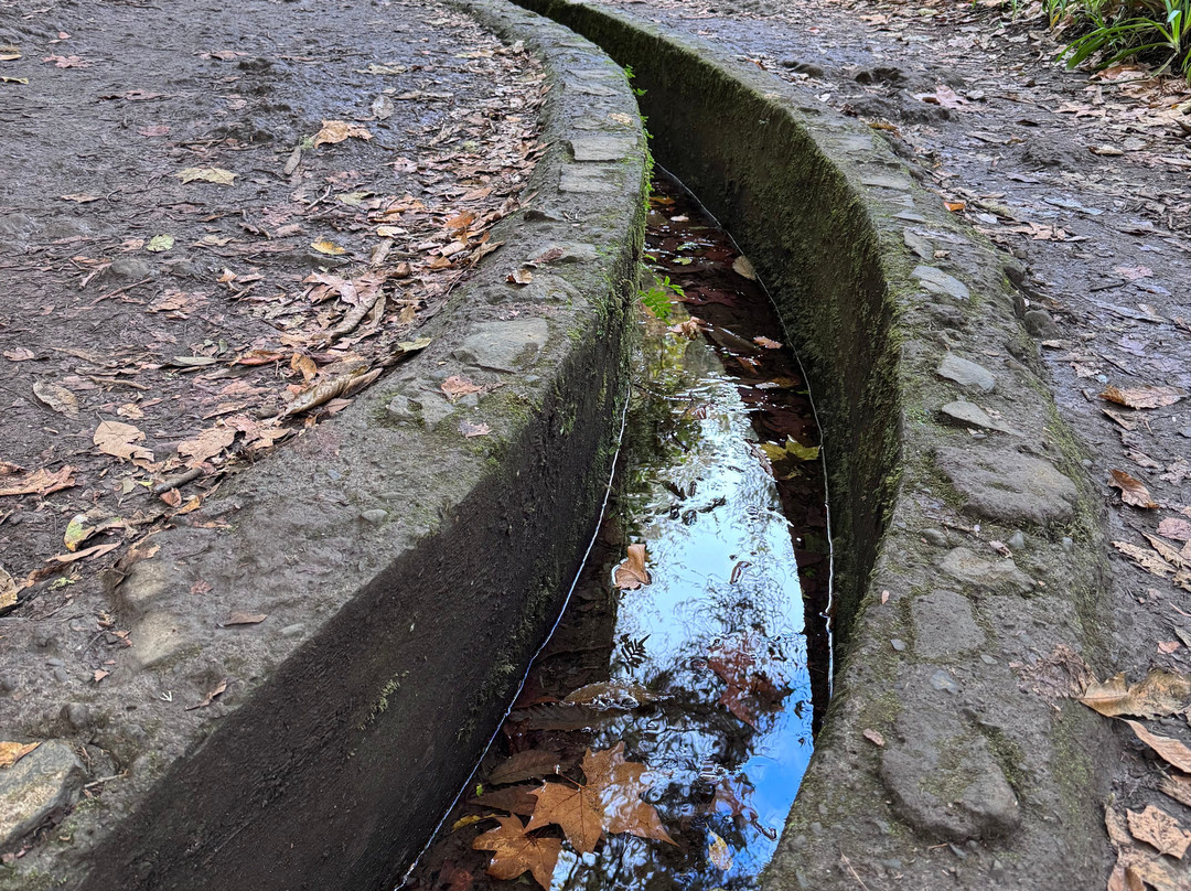 PR11 Vereda dos Balcões-Ribeiro Frio必去景点