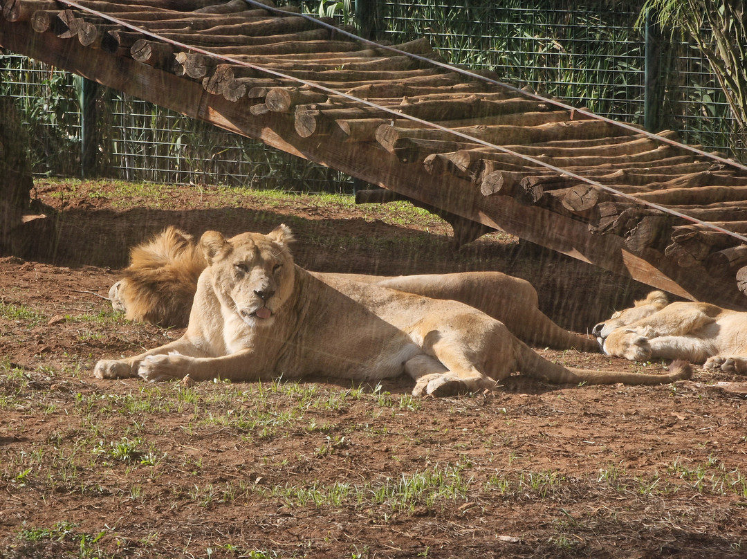 Jardin Zoologique de Rabat-拉巴特必去景点