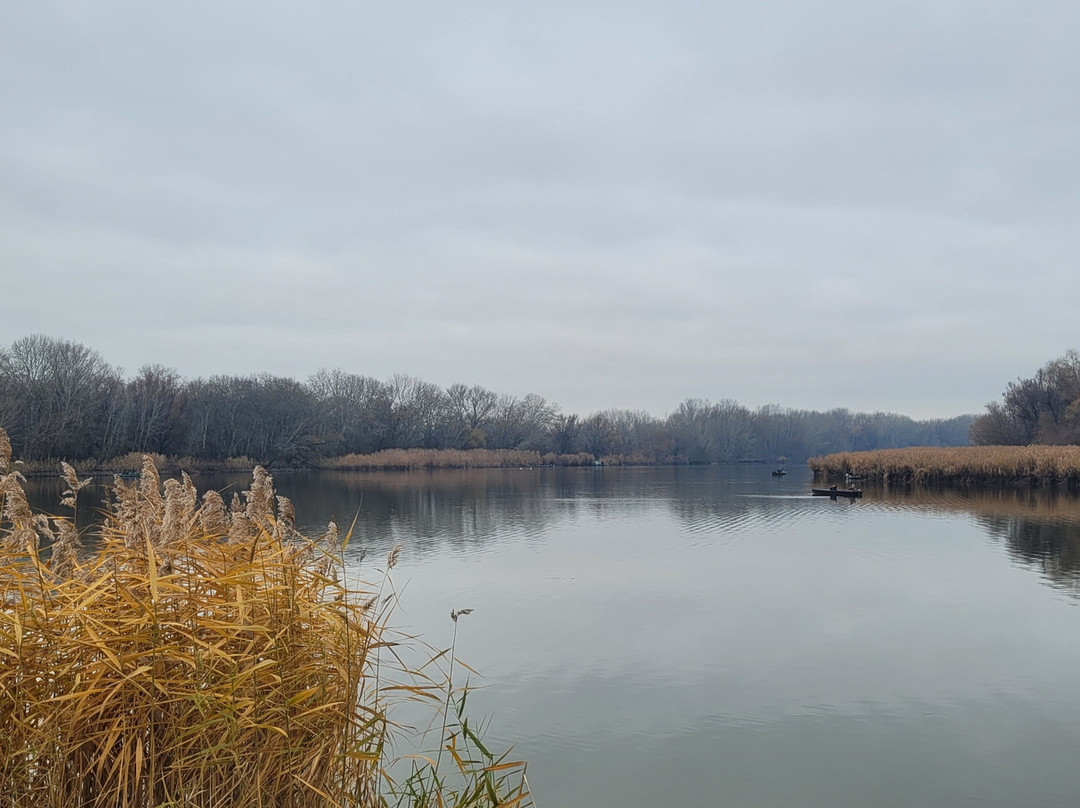 Tisza Balneum Hotel主图