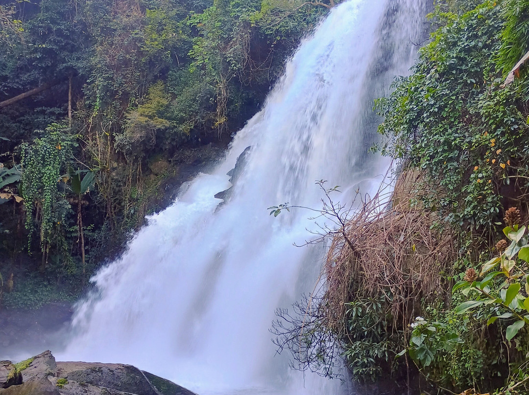 Living Green Elephant Sanctuary-清迈必去景点