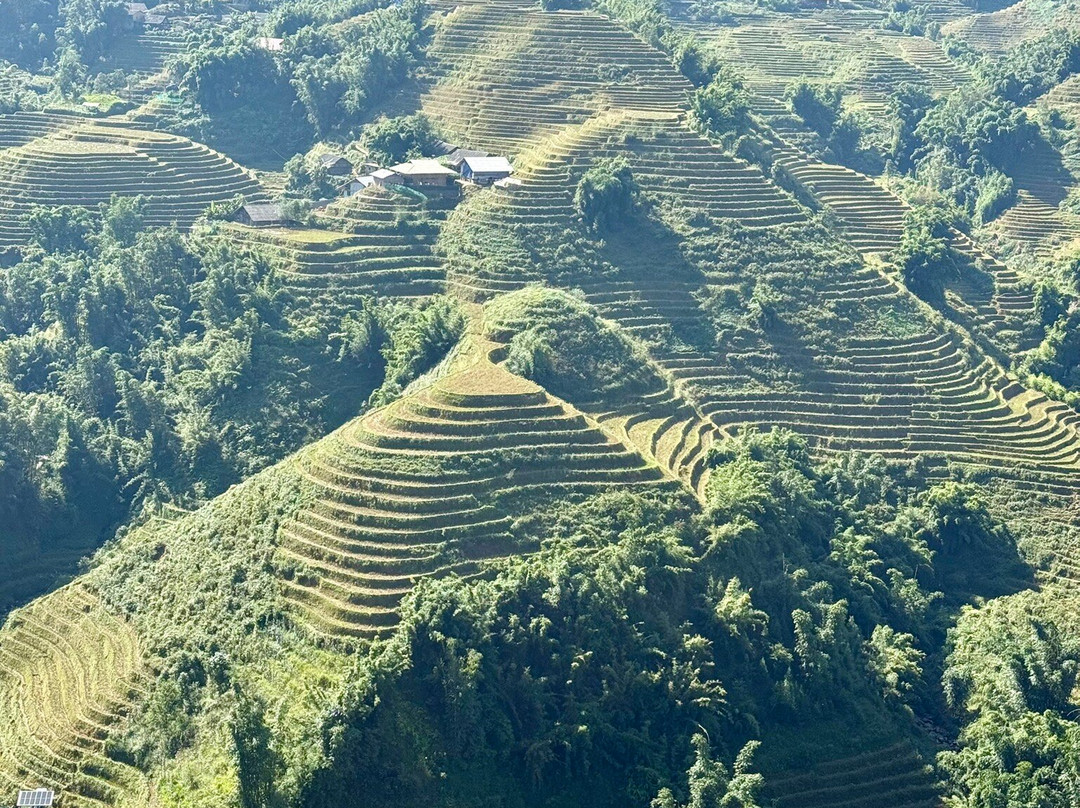 Asia Tours-胡志明市必去景点