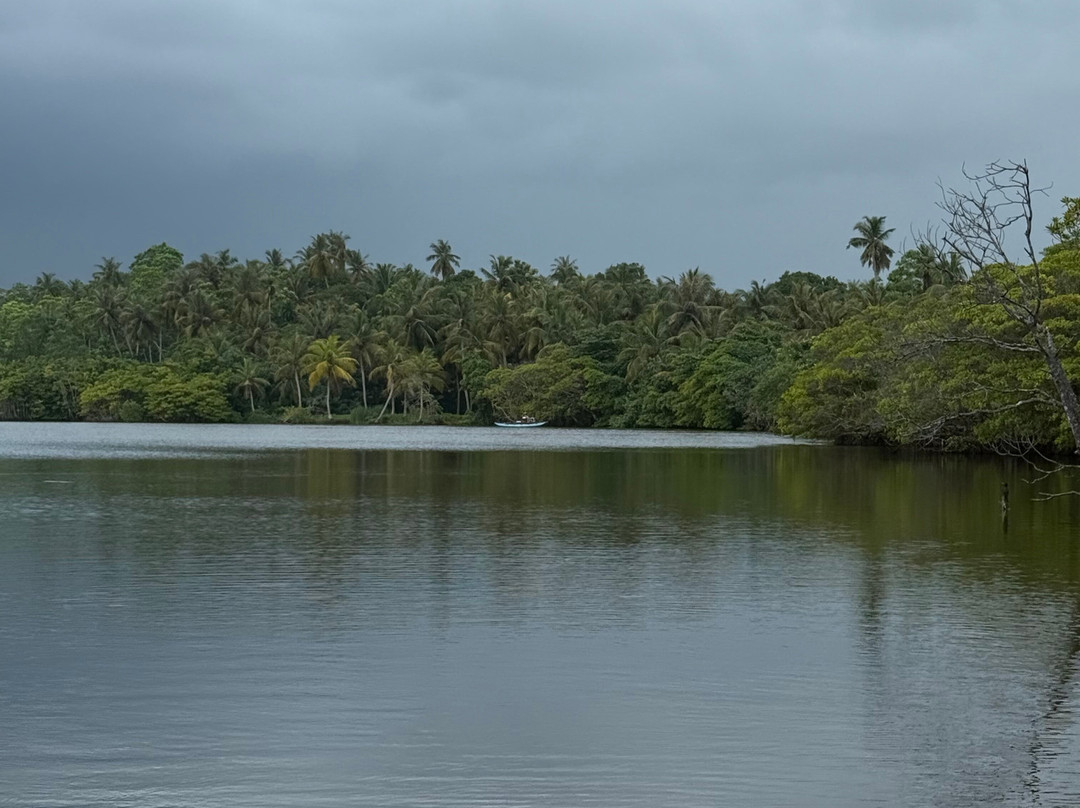 Mirissa Eco Lagoon Safari-美蕊沙必去景点
