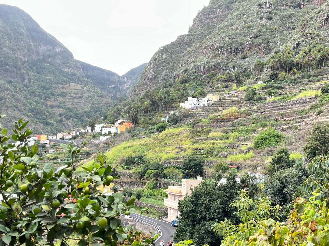 加拉霍埃国家公园-La Gomera必去景点