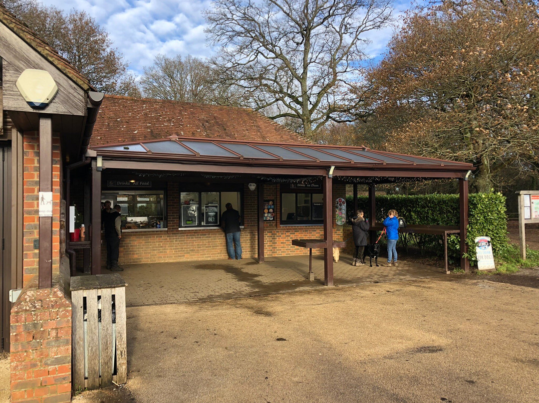Newlands Corner-Shere必去景点