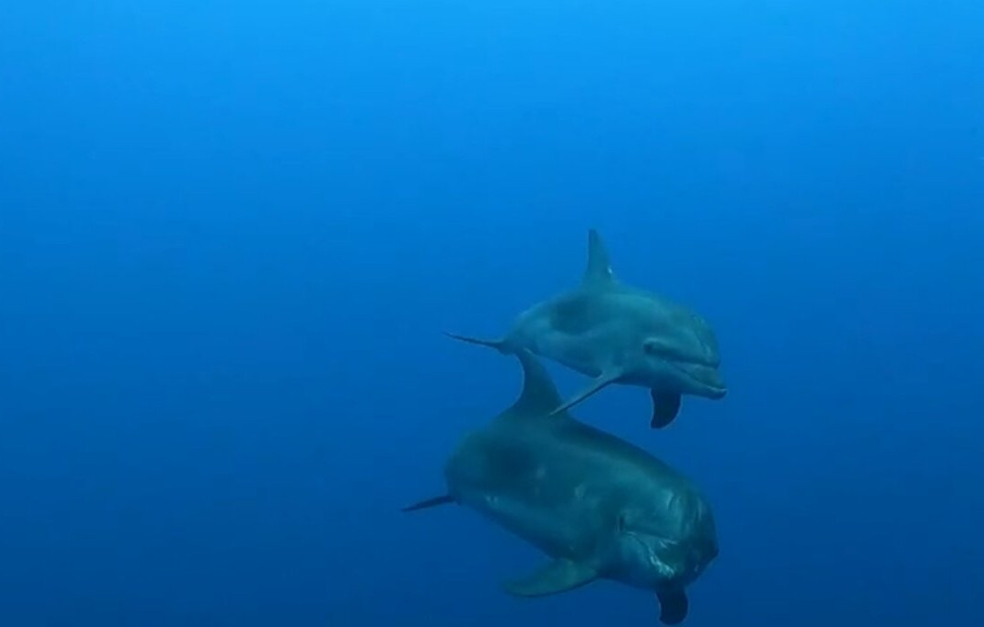 The Six Passengers-阿瓦托鲁必去景点