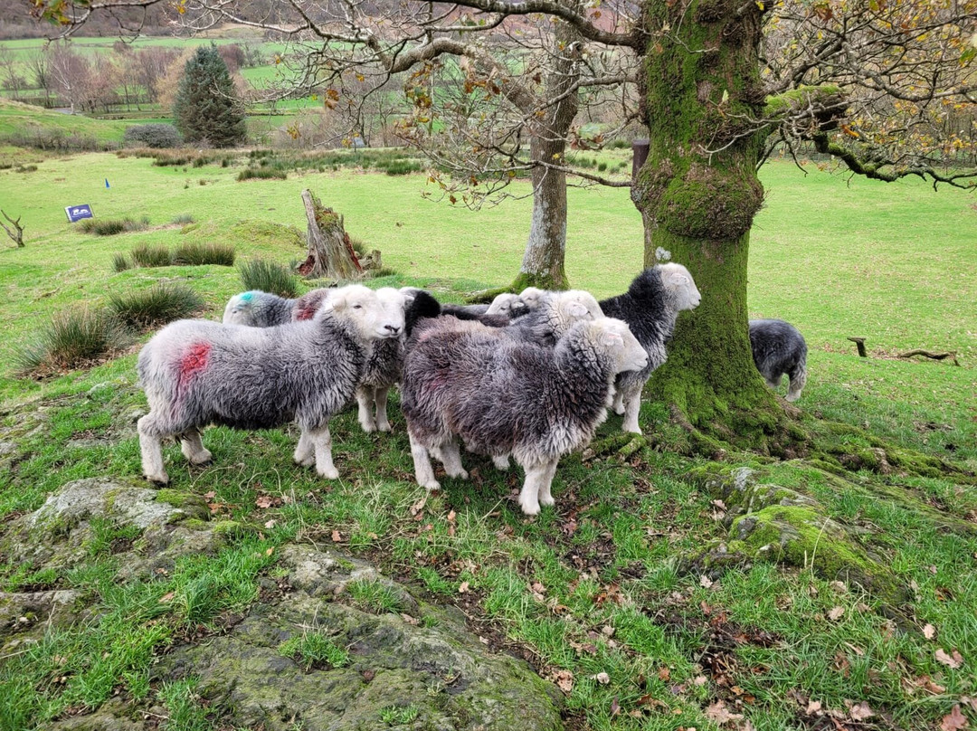 Cragg House Farm-Buttermere必去景点