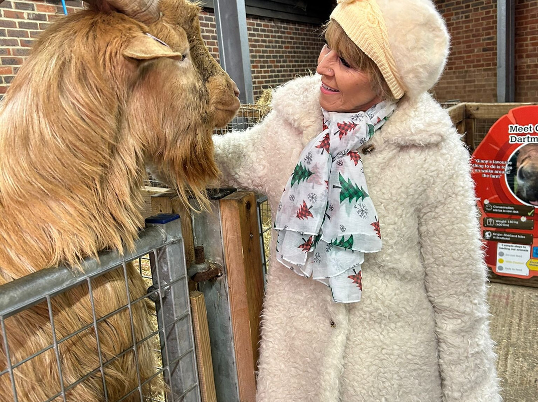 Old MacDonald's Farm-布伦特伍德必去景点