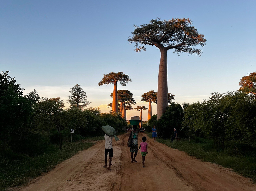 Tours in Madagascar with Emmanuel-Miandrivazo必去景点