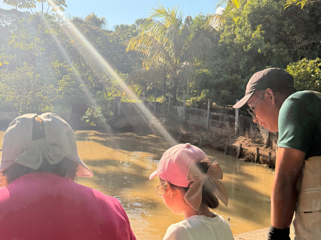 Johmer Expedition Tours-伊基托斯必去景点