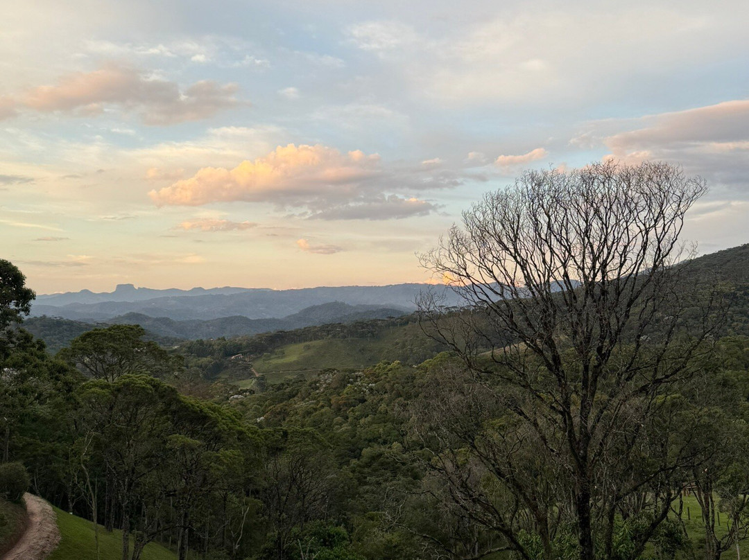 Pousada Quinta dos Pinhais主图