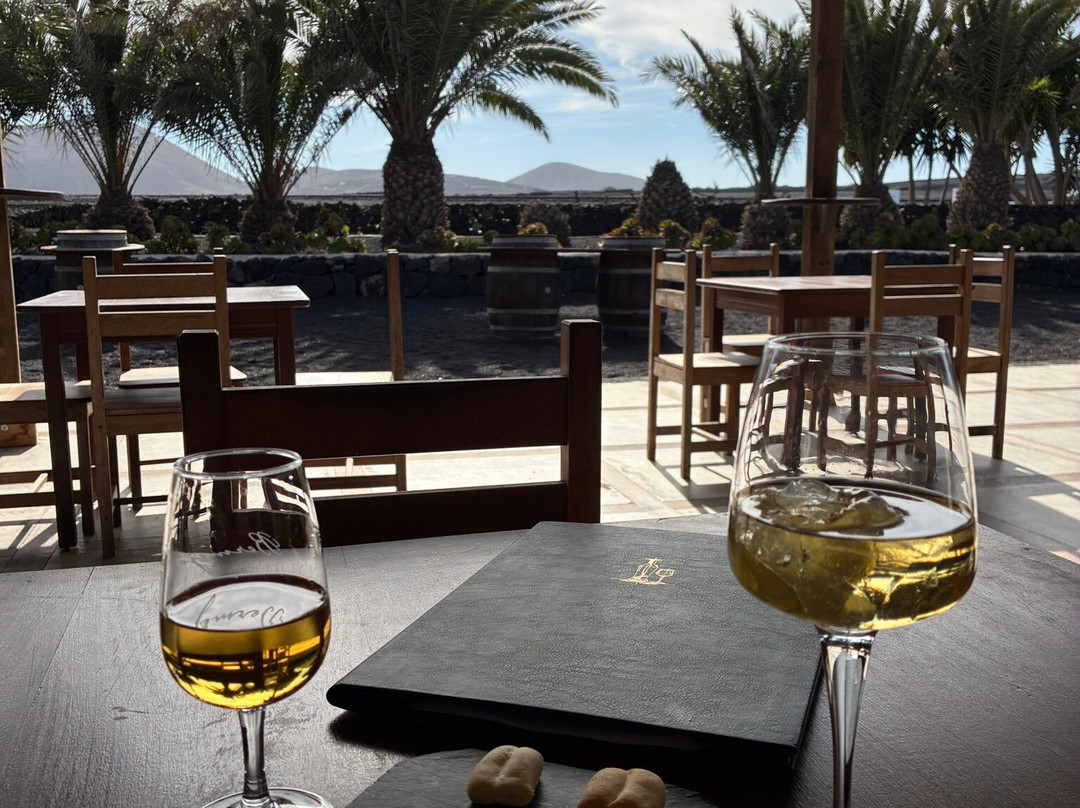 Bodegas Los Bermejos-San Bartolome必去景点