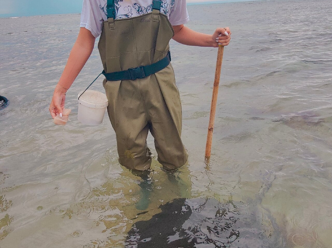 Dive Tatapouri-Gisborne Region必去景点