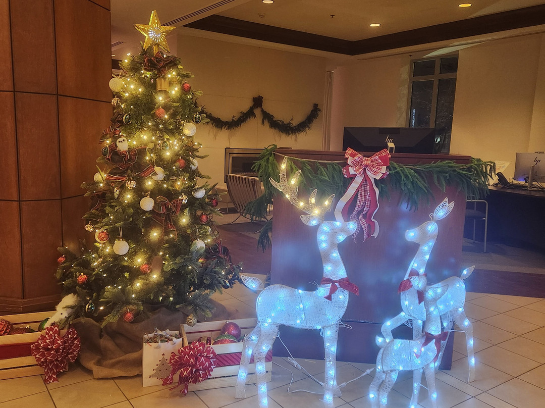 克里夫兰洲际套房酒店主图