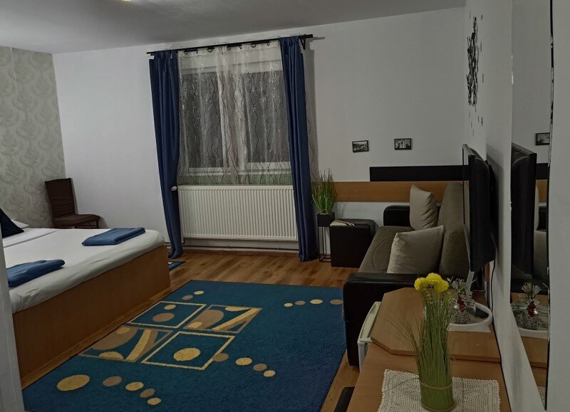 Pensiunea Verde主图