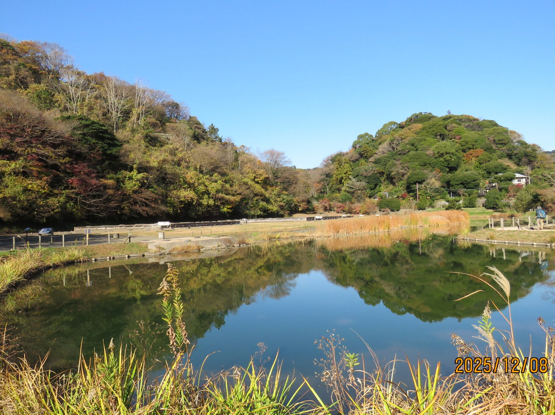 Ruins of Yofukuji Temple-镰仓市必去景点
