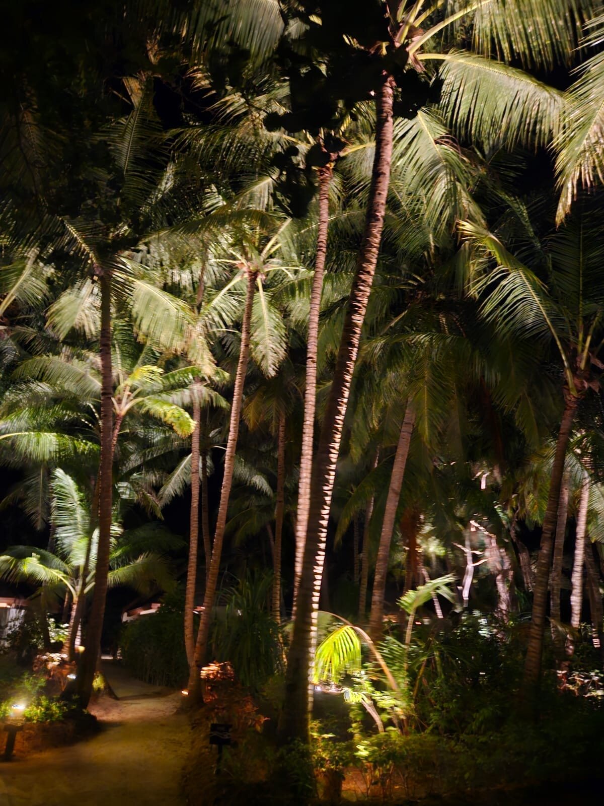 马尔代夫杜斯特塔尼-浴室