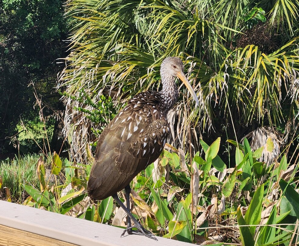 Peaceful Waters Sanctuary-Wellington必去景点
