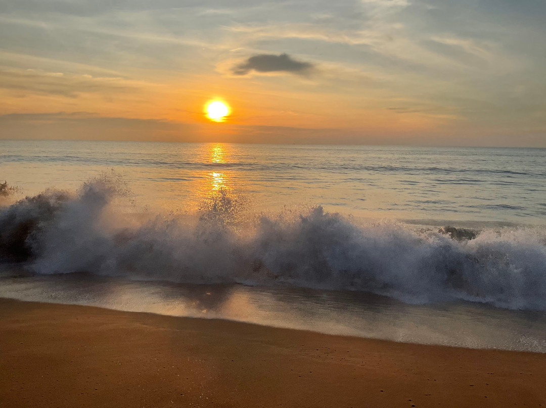 金佛海滩度假村主图