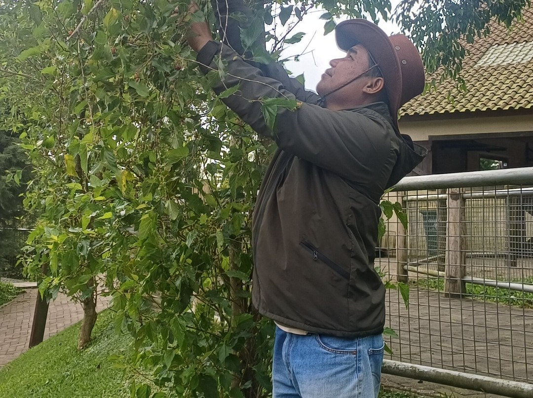 Bali Farm House-Pancasari必去景点