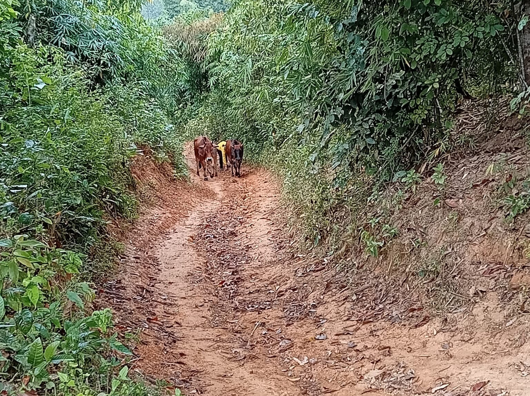 Amazing Trekking Tour-清迈必去景点