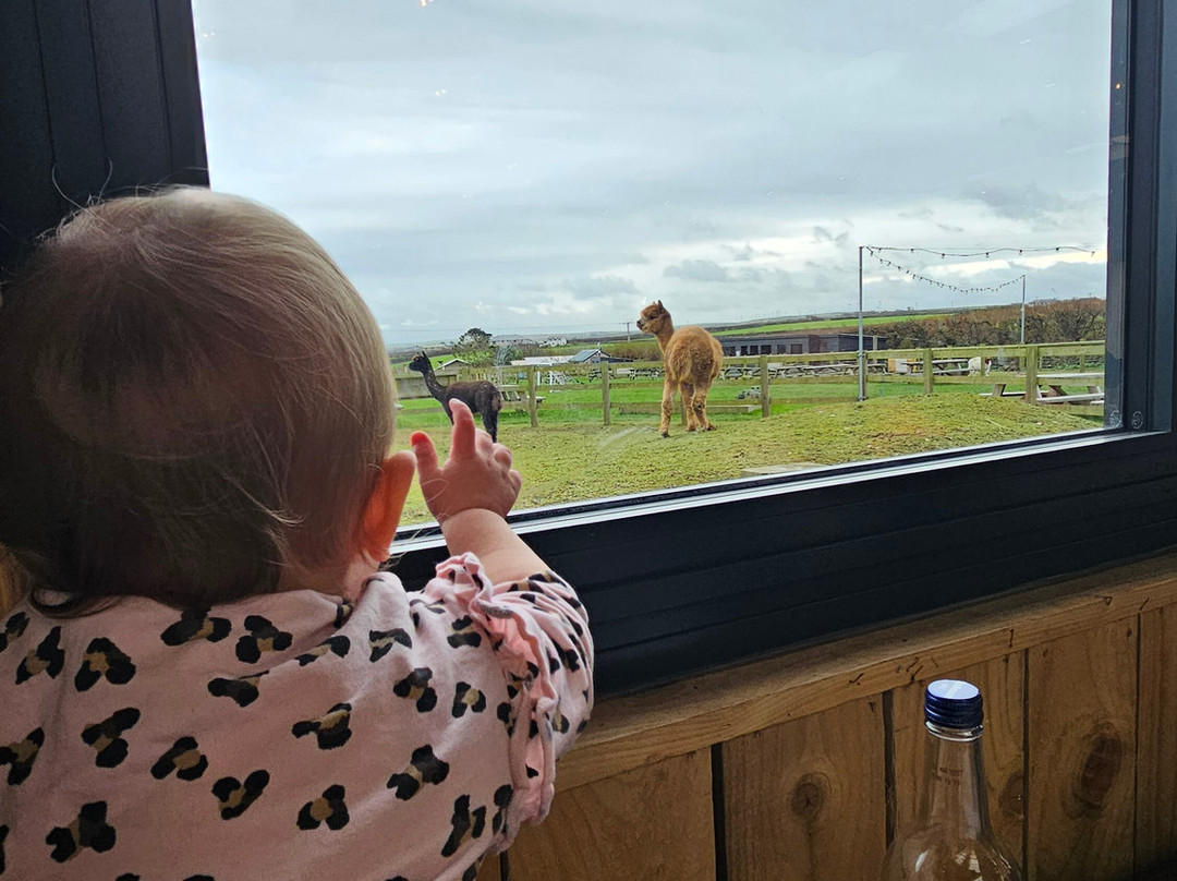 Macdonalds Farm-帕兹托必去景点
