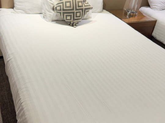 Sandman Signature London Gatwick Hotel主图