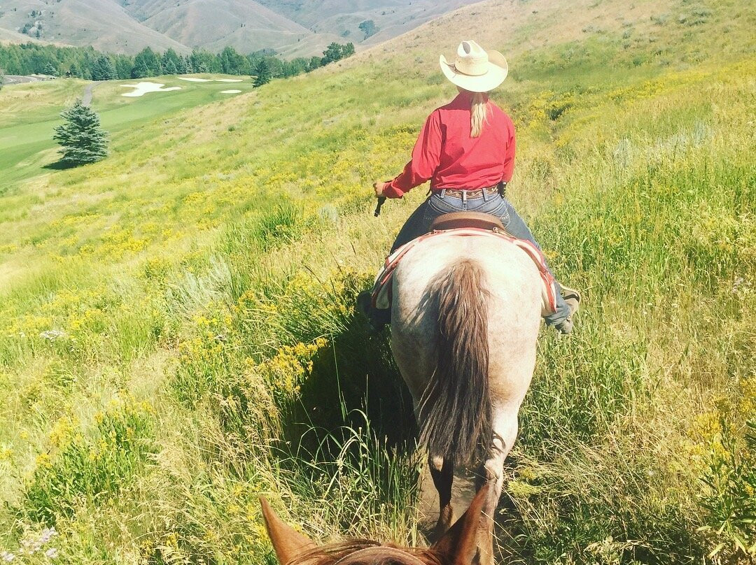 Sun Valley Stables-森瓦利必去景点