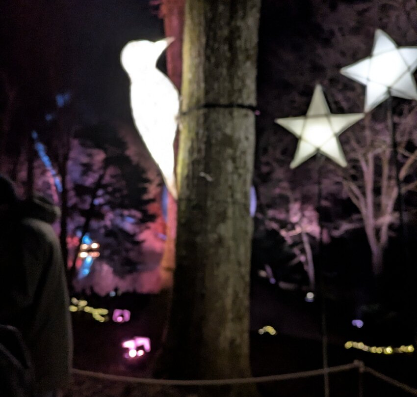 Leonardslee Illuminated-Lower Beeding必去景点