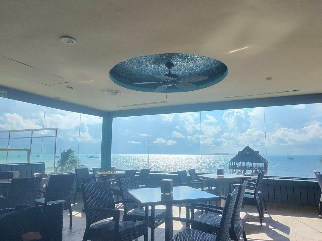 海豚发现秀-女人岛必去景点