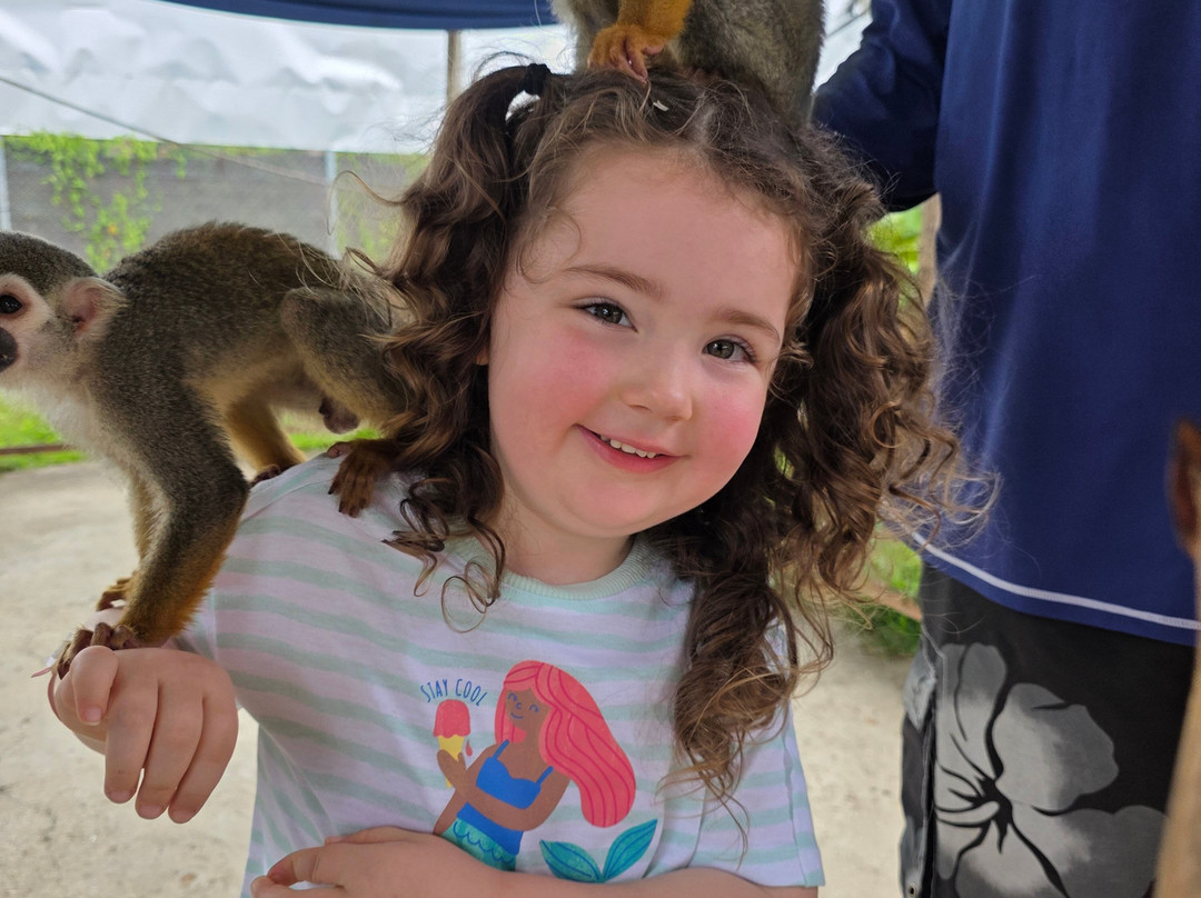 Monkey Home Puerto Plata-普拉塔港必去景点