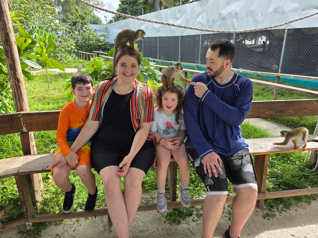 Monkey Home Puerto Plata-普拉塔港必去景点