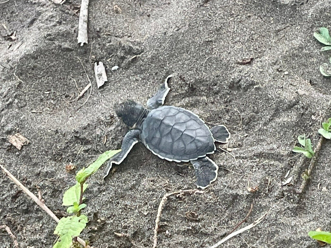 Best of Costa Rica DMC-圣何塞必去景点