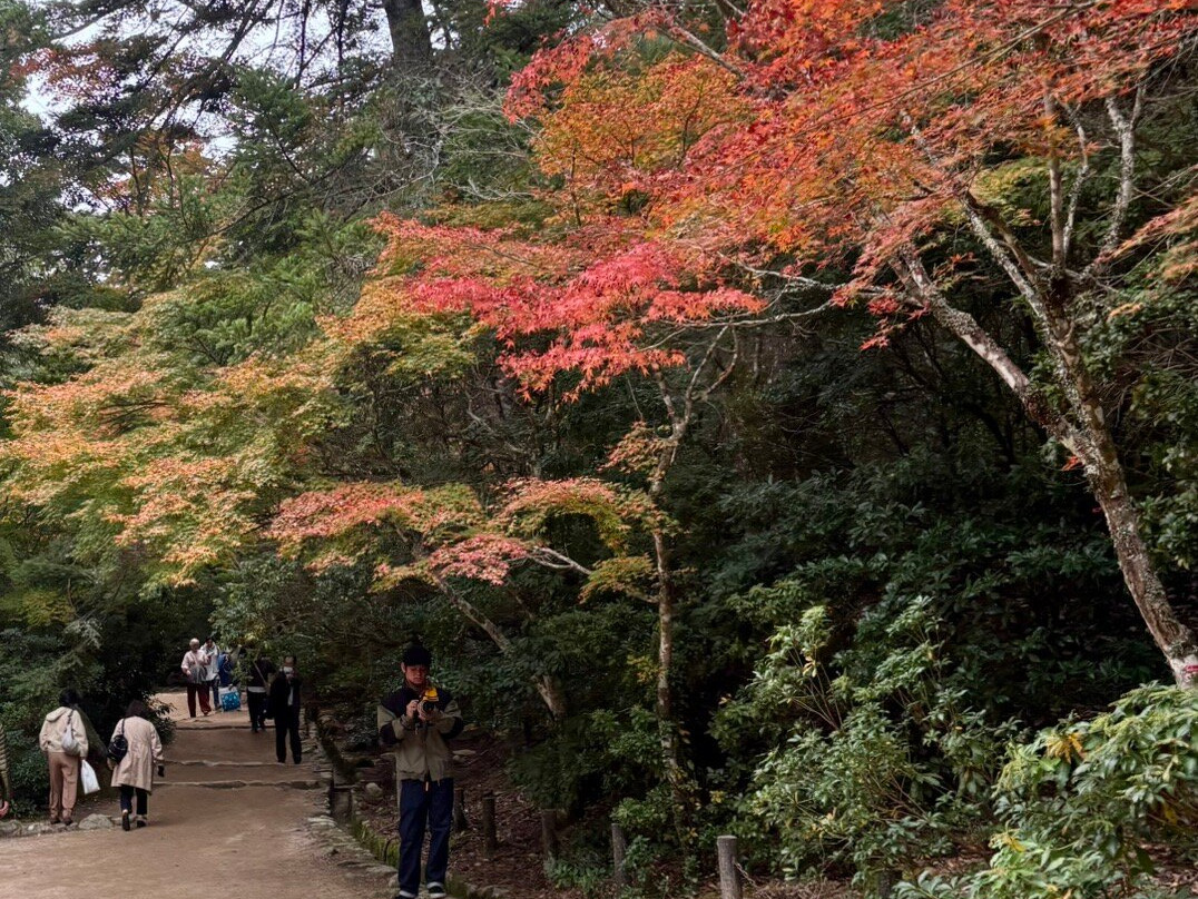 Miyajima Sambashimae Park-Itsukushima必去景点