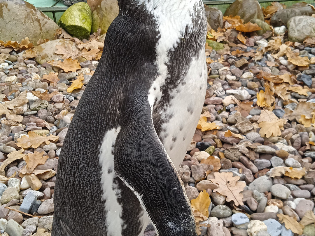 Jaderpark-Jaderberg必去景点