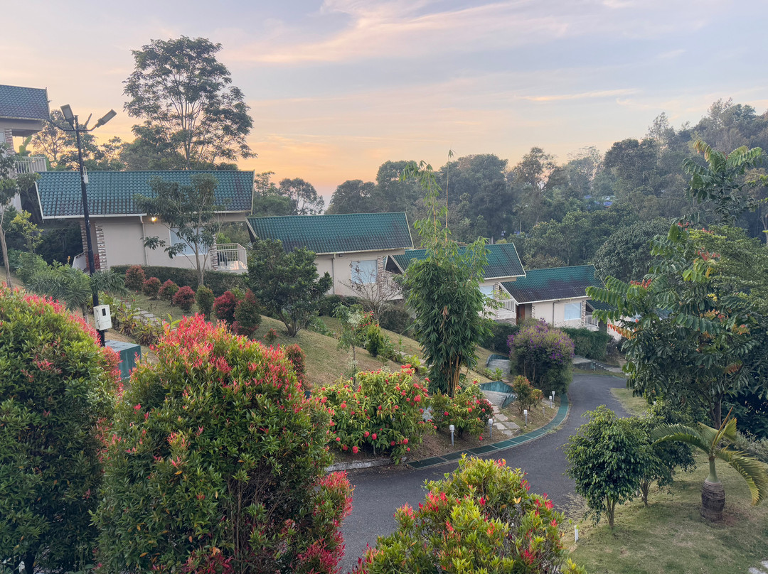 Aveda Mountains And Mist - Munnar主图