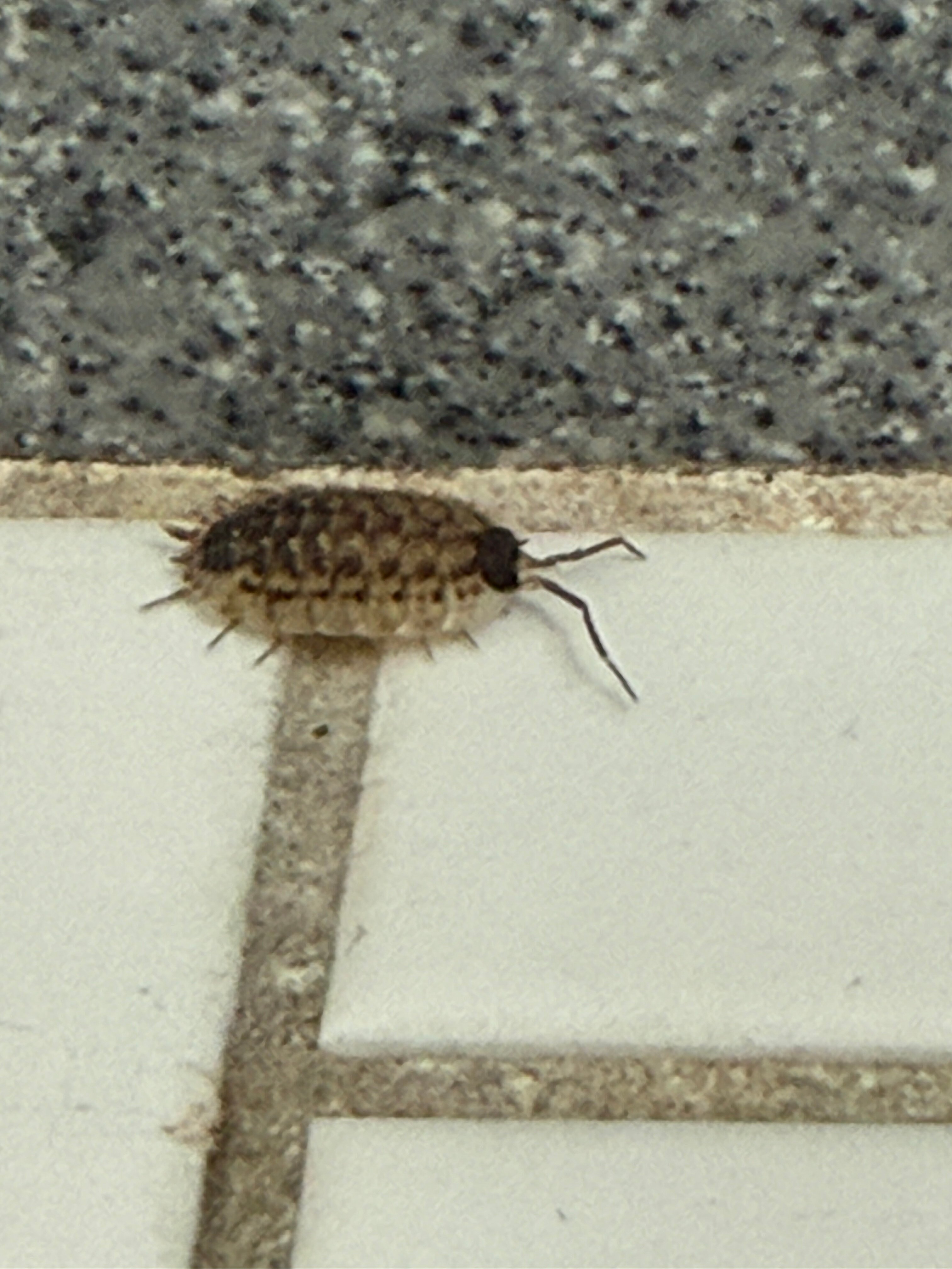 古尔德酒店-浴室