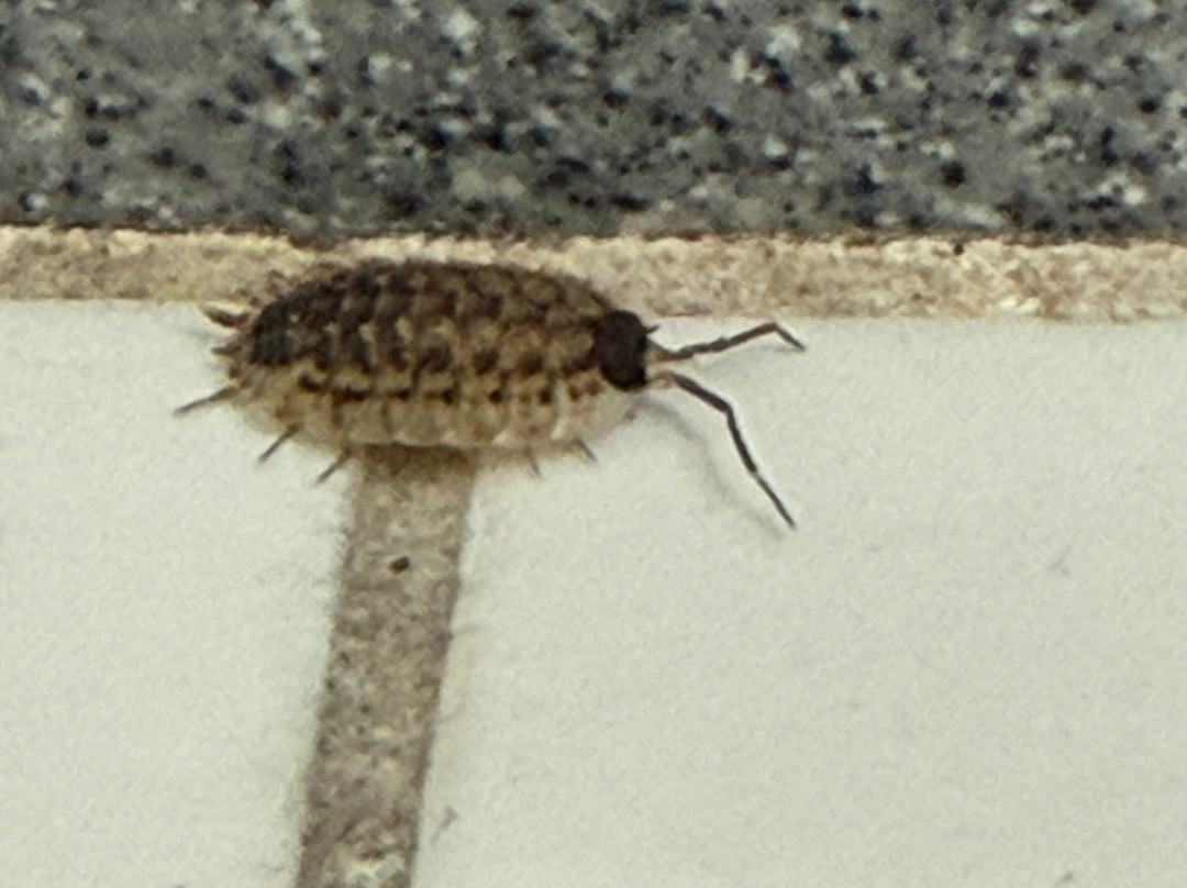 古尔德酒店主图