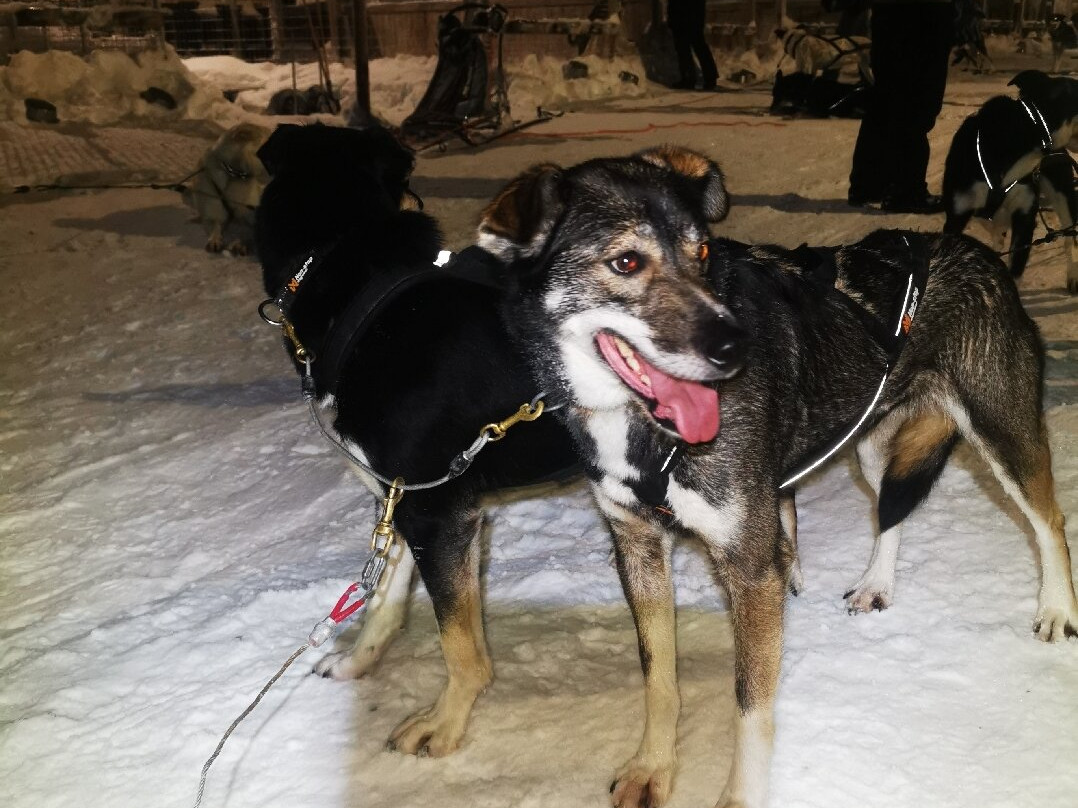 Maglelin Experience-Kittilä必去景点