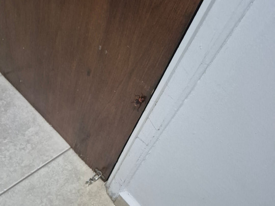 Pinhal Palace Hotel主图