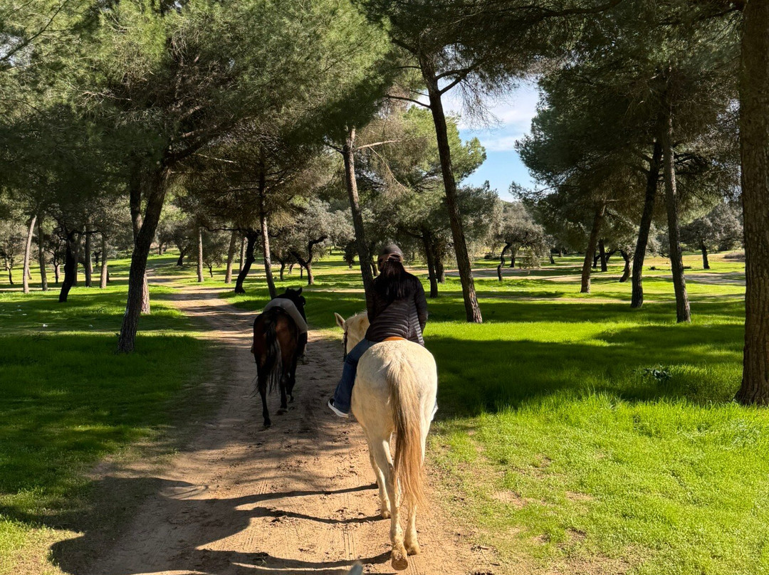 Dehesa Boyal-Villamanrique de la Condesa必去景点