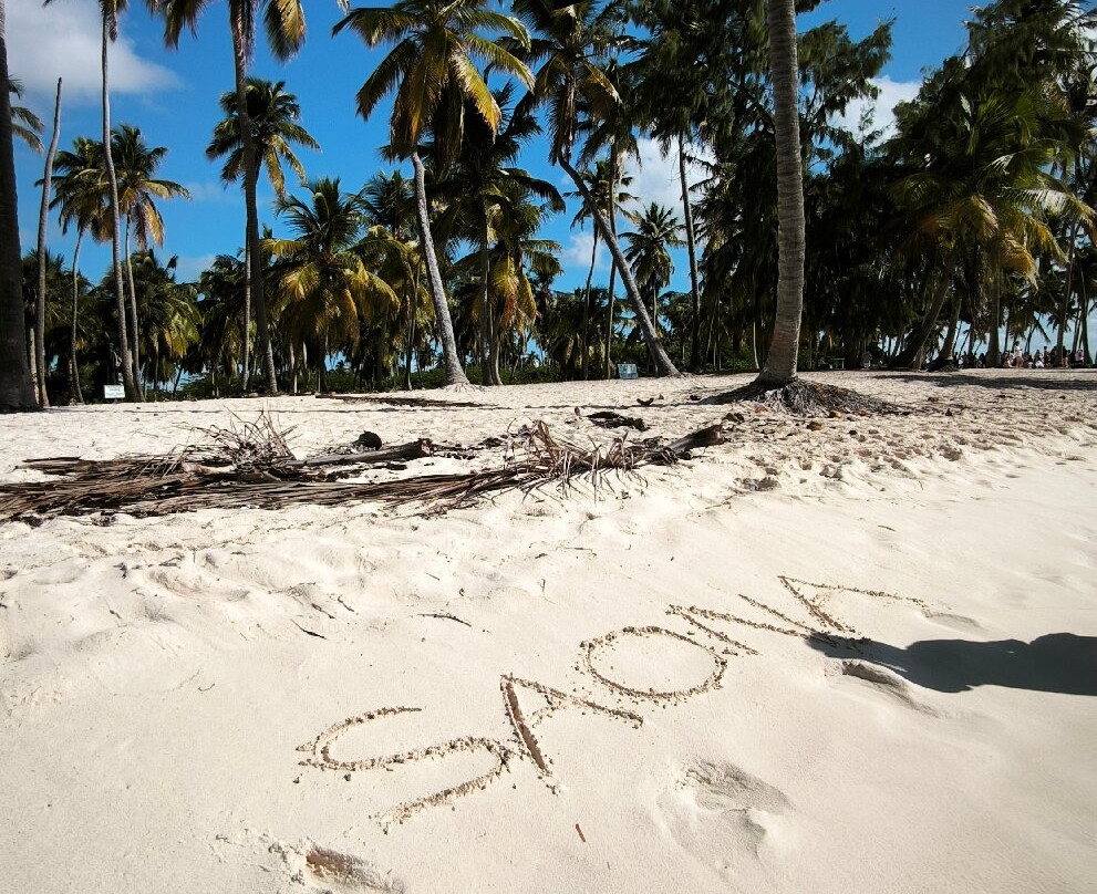 Mariposa Tours-Bayahibe必去景点