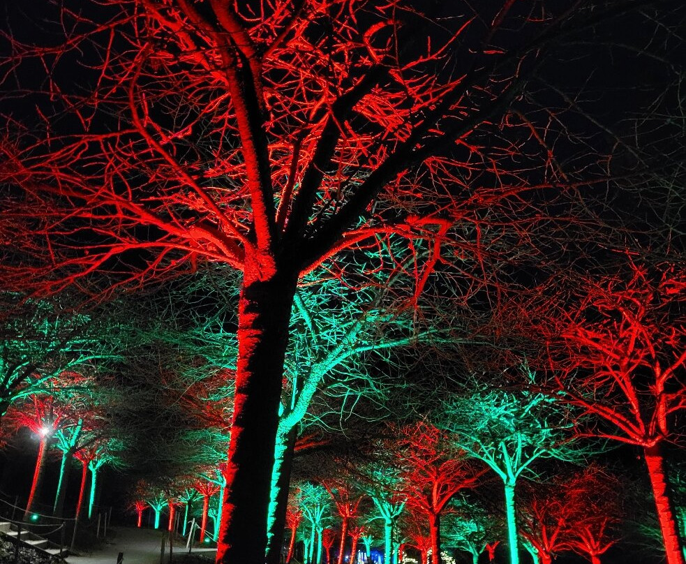 The Alnwick Garden-阿尼克必去景点