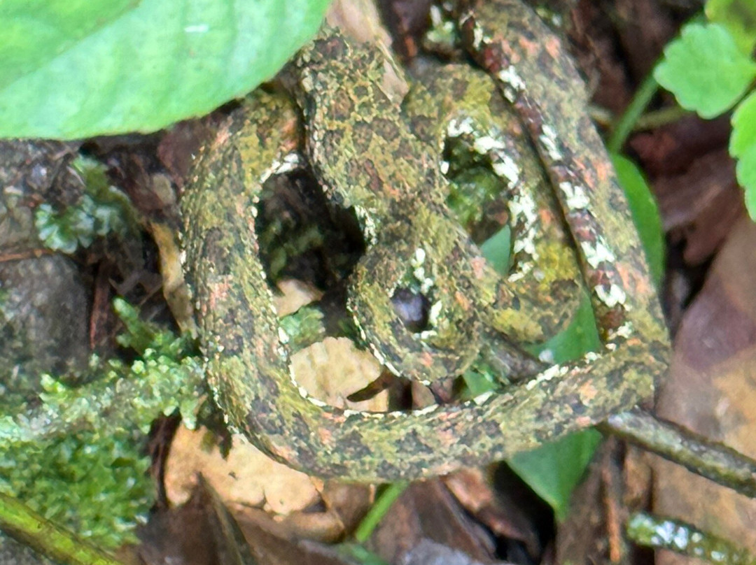 ConchalFun-孔查沙滩必去景点