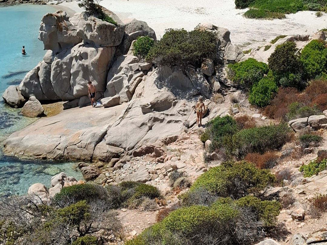 Isola di Spargi-拉马达莱娜必去景点