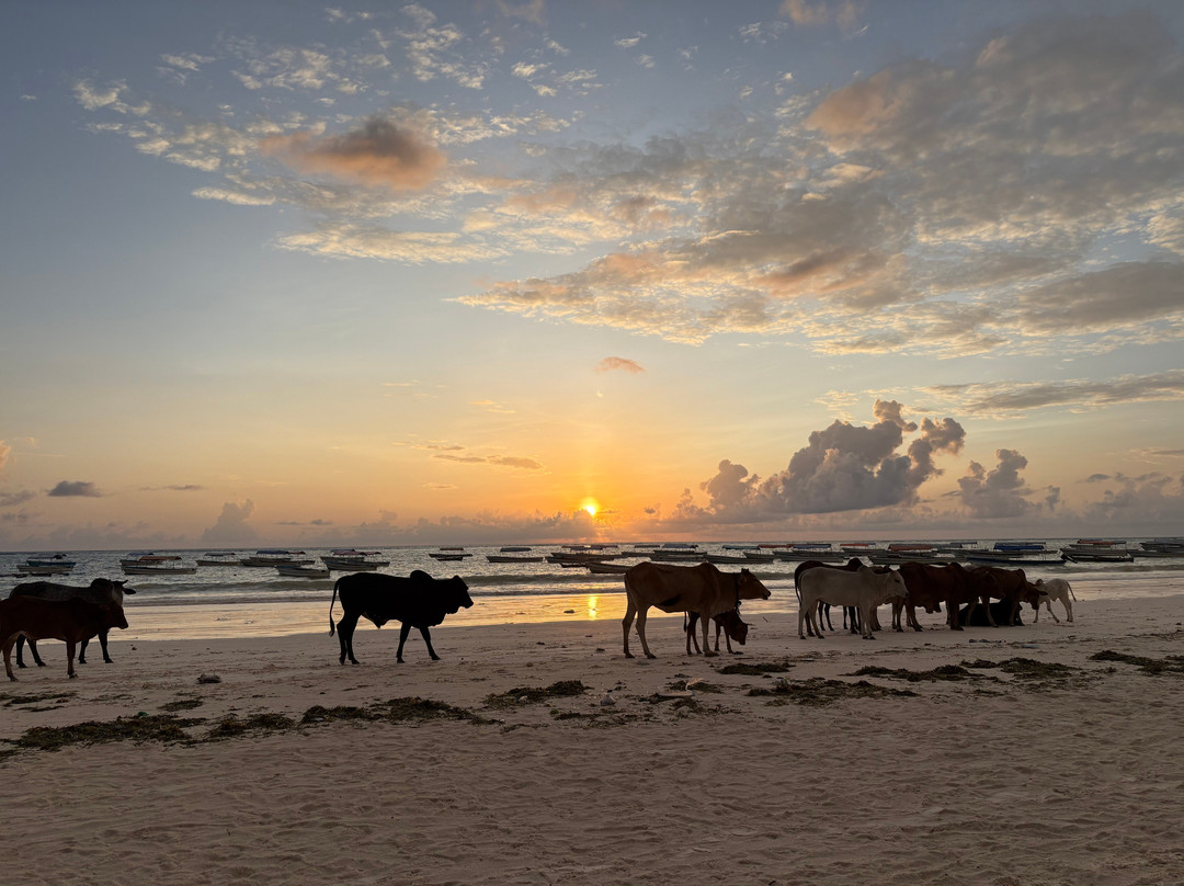 HEBE Bungalows Lodge