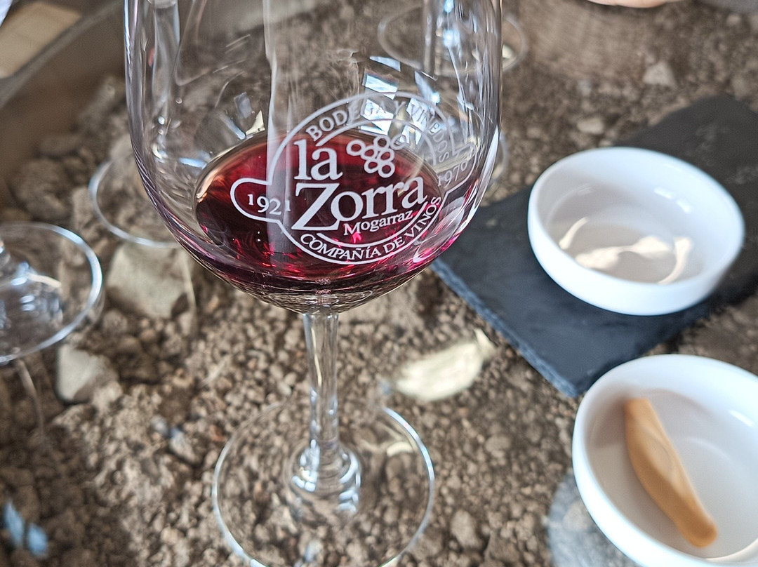 Bodega Vinos La Zorra-Mogarraz必去景点