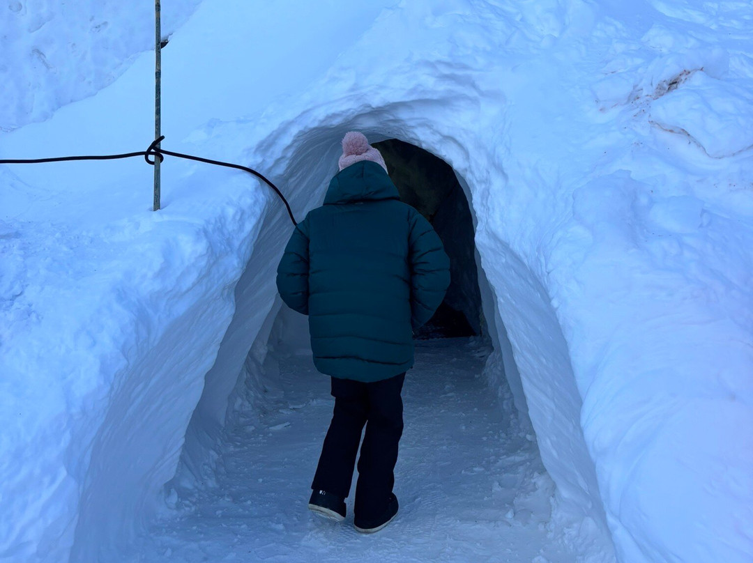 Glacier Cave-莱德萨阿尔卑斯必去景点